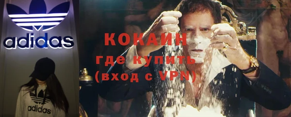 ГАЛЛЮЦИНОГЕННЫЕ ГРИБЫ Балахна