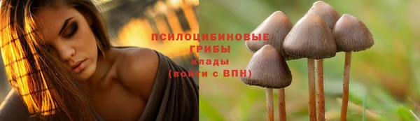 твердый Новый Уренгой