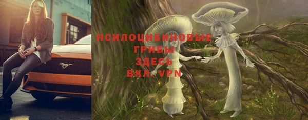 ГАЛЛЮЦИНОГЕННЫЕ ГРИБЫ Балахна